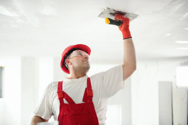 Best Attic Mold Removal  in North Druid Hills, GA