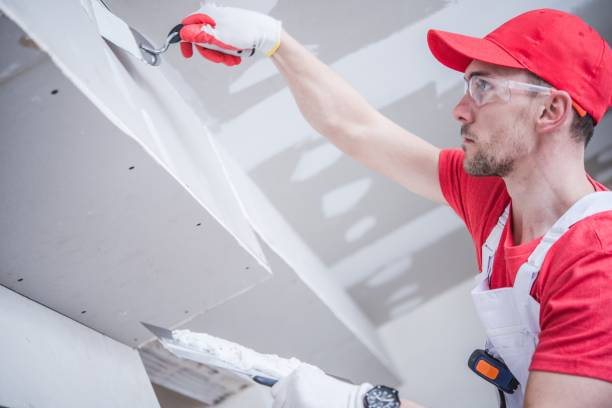 Best Mold Damage Restoration  in North Druid Hills, GA