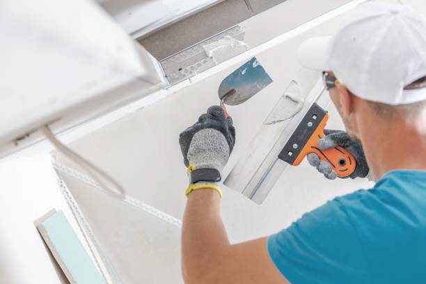 Best HVAC Mold Inspection and Cleaning  in North Druid Hills, GA